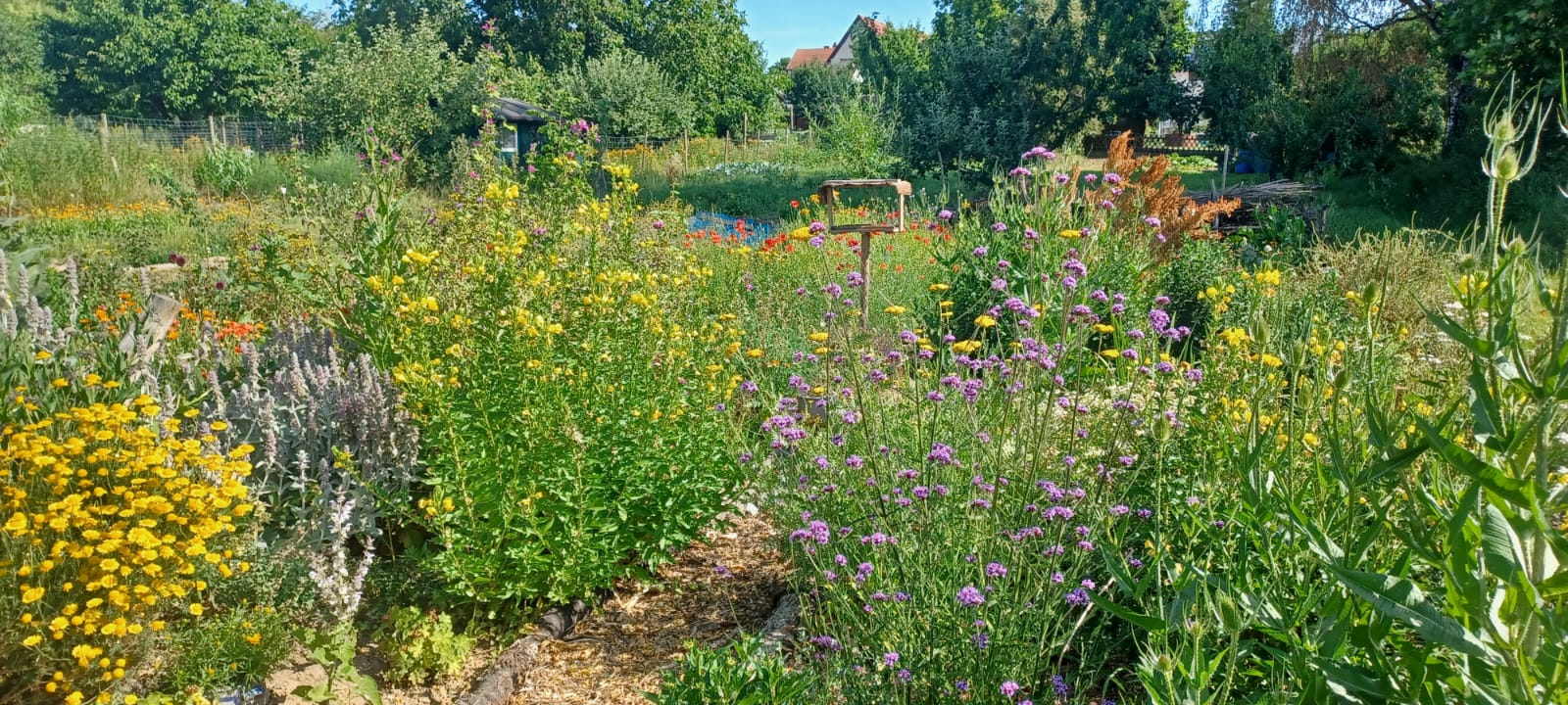 Schaugarten in Bruchköbel
